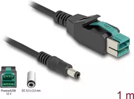DeLOCK PoweredUSB kabelis vyriškas 12 V į DC 5,5 x 2,5 mm vyrišką 1 m