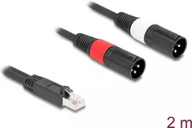 Garso kabelis DeLOCK 88173 2 m RJ-45 – 2 x XLR 3-pin juodas