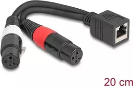 DeLOCK 88178 garso laidas 0,2 m RJ-45 – 2 x XLR (3 kontaktų) juodas
