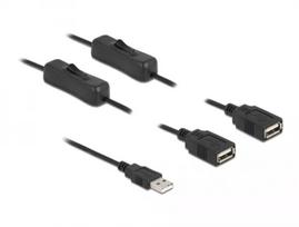 USB Type-A kištukas į 2 x USB Type-A lizdą su jungikliu DeLOCK 86803
