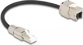 DeLOCK laidas RJ45 kištukas lauko montavimui į Keystone modulį RJ45 lizdas Cat.6A 25 cm