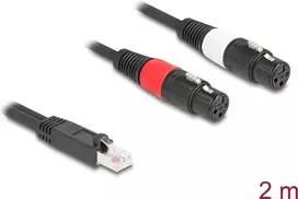 DeLOCK 88176 garso kabelis 2 m RJ-45 – 2 x XLR 3-pin juodas