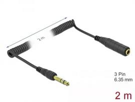 Audio kabelis DeLOCK 85938 2 m 6,35 mm juodas