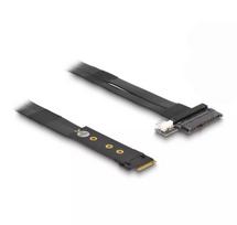 DeLOCK M.2 Key M į U.2 SFF-8639 NVMe adapteris su 20 cm laidu