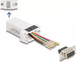 DeLOCK D-Sub 9 kontaktų moteriškas į RJ45 moterišką surinkimo rinkinys baltas VGA RJ-45