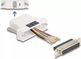 DeLOCK D-Sub 25 kontaktų (motina) į RJ45 (motina) surinkimo rinkinys baltas VGA RJ-45