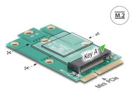 DeLOCK 64339 vidinis M.2 adapteris Mini PCI Express vyriškas