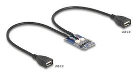 DeLOCK 64346 Vidinis USB 2.0 adapteris Mini PCI Express vyriškas