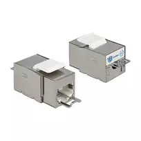 Delock 86404 Keystone modulis RJ45 Secure Cat.6 į LSA, baltas