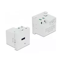 Kištukinis lizdas su USB-A DELOCK 81311, baltas, 100–240 V, 0,5 A, LED indikatorius, plastikinis korpusas