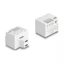 DeLOCK Keystone modulis 41479 2 x USB Type-C PD 20 W baltas
