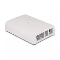 DeLOCK 67053 Sieninė 4 prievadų keystone dėžutė, balta