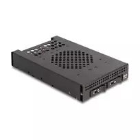 DeLOCK 47117 3,5 colio mobilus krepšelis 2 M.2 NVMe SSD