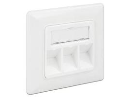 RJ-45 lizdo kištukinė rozetė DeLOCK 86194 sidabrinė balta