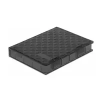 Delock Protection Box - Kietojo disko apsauginis korpusas - Talpa: 1 kietasis diskas (2.5) - Pilkas (18368)