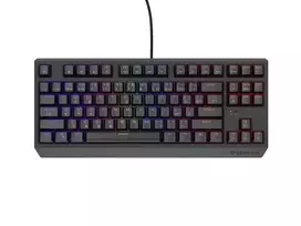 Žaidimų klaviatūra Genesis THOR 230 TKL RGB su Outemu Red jungikliais, laidinė USB, be skaičių bloko