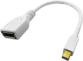 ROLINE DisplayPort adapteris - Mini DisplayPort (kištukas) į DisplayPort (lizdas) - Juoda (12.03.3163)