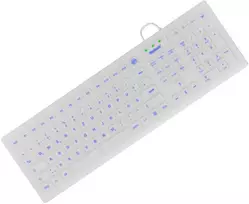 Klaviatūra KeySonic KSK-8031INEL-Wh (DE) pramoninė USB QWERTZ vokiška balta