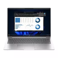 HP ProBook 460 G11 nešiojamas kompiuteris Intel Core Ultra 5 125U 16GB WUXGA QWERTZ DE