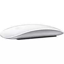 Apple Magic Mouse Office Ambidextrinė RF belaidė + Bluetooth pelė