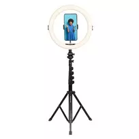 Agfa Arl11xl LED žiedinė šviesa 11 colių + stovas + nuotolinio valdymo pultas
