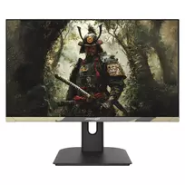 JAPANNEXT JN-IPS238FHD200F-HSP-CAMO monitorius 61 cm (24 colių) 1920 x 1080 pikselių Full HD LCD juodas