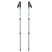 Žygio lazdos suaugusiems VIKING Kivi 2.0 Trekking Green UNI