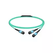 Molex PN pasyvusis šviesolaidinis kabelis MMF MPO12 APC 7 m
