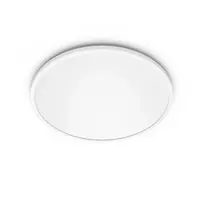 Philips Functional Super Slim lubos šviestuvas 15 W, LED, nekeičiama lemputė, 2700 K, 1300 lm, IP20, Baltas