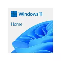 Microsoft Windows 11 Home - Box-Pack - 1 licencija - USB atmintinė