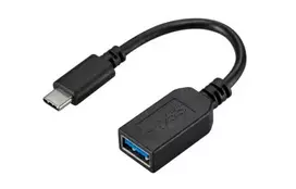 Fujitsu S26391-F6058-L100 USB-C į USB-A laidas, juodas