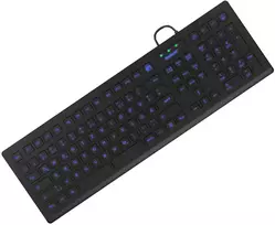 Pramoninė klaviatūra KeySonic KSK-8031INEL-B (DE) USB QWERTZ juoda