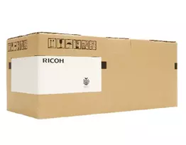 Ricoh H3101360 atsarginė dalis / priedas 1 vnt.