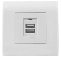 Intellinet sieninis lizdas su 2 USB-A prievadais ir apsauginiu dangteliu, 5 V / 2,1 A, 80 x 80 europietiškas rėmelis