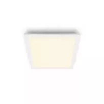 Lubinis šviestuvas Philips Functional Panel 12 W LED kvadratinis 300×300×42 mm, baltas