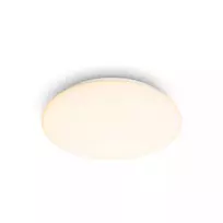 Philips Functional Moire lubinis šviestuvas 10 W, LED, nekeičiama lemputė, 2700 K, 1000 lm, IP20, baltas