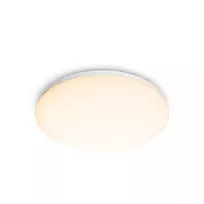 Philips Functional LED lubinis šviestuvas, 17 W, 2700 K, 1700 lm, baltas