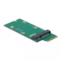 Adapteris DeLOCK 64103 M.2 į Mini PCIe