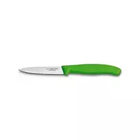 Victorinox 6.7604.C1 Green
