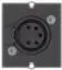 Bachmann Custom Module 1 x XLR lizdas - Modulinis Faceplate-Snap-In - XLR (5 kontaktų) - Juoda (917.101)