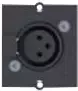 Bachmann modulinis snap-in skydelis – 3 PIN XLR – juodas
