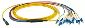 Skaidulinis optinis kabelis EFB Elektronik MTPF12LCOS2-3