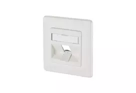 Kištukinis lizdas BTR NETCOM 1309141002-E baltas