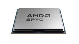 Procesorius AMD EPYC 9015 3,6 GHz 64MB L3 lizdas SP5