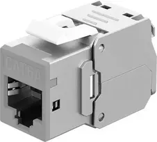 Goobay Keystone modulis RJ45 CAT 6A, STP, plonas, šviesiai pilkas (77946)