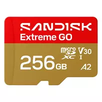 SanDisk Extreme microSDXC 256GB UHS-I 240MB/s atminties kortelė