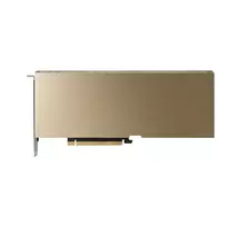 PNY NVIDIA RTX PRO 4500 Blackwell Server Edition - 32GB GDDR7 ECC - PCIe 5.0 x16 - pasyvus aušinimas - 4x DisplayPort 1.4a