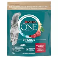 Purina ONE Adult Dry Cat Food with Beef and Whole Grains 750g