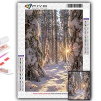 5D „pasidaryk pats“ deimantinis paveikslas „Sniego scena“ Siuvinėjimo kryžiumi deimantų siuvinėjimo mozaika Full Round 20X30CM