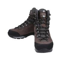Lowa Camino Evo Gtx Wide Hiking Shoes 211629 4527 211629-4527 (6.5)